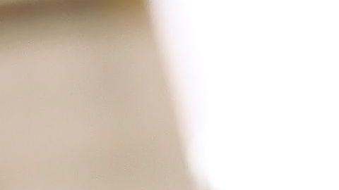 La Administración estudia elevar al 100% los aranceles a la importación del vino europeo./Shutterstock