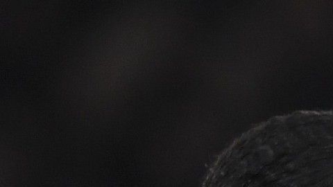 Liverpool alcanza por primera vez en su historia la hegemonía con 5 jugadores.