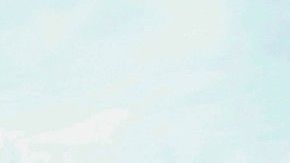 Con estos entusiastas de las casas antiguas, querrás convertirte en uno de ellos.