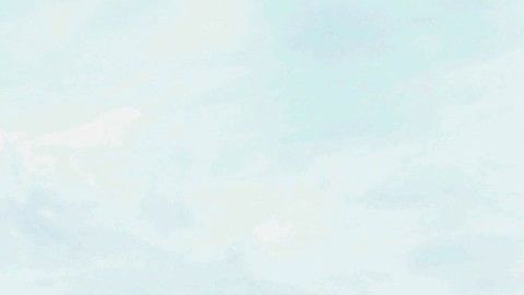 Con estos entusiastas de las casas antiguas, querrás convertirte en uno de ellos.