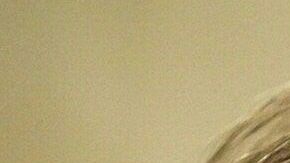 Pelosi y Trump se enfrentan para limitar las acciones militares contra Irán.