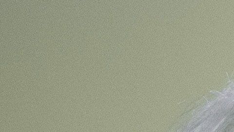 Con un 97% escrutado, Sanders tiene más 6,000 votos más que Buttigieg.