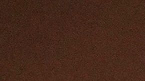 La otra opción era dejar a las personas contagiadas bajo la lluvia en Japón.