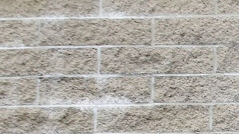 En California, los tiempos de espera aumentaron en un 46% en un año.