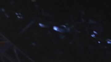 Tyson Fury celebra su coronación tras vencer por nocaut a Wilder.