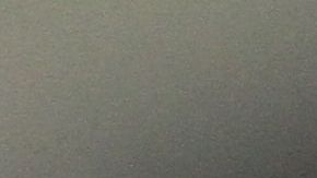 Schumer dice que le encanta el pastel de queso.