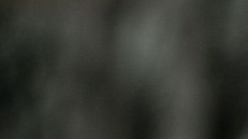 Consejos para evitar enfermedades / Créditos: Fotógrafo Brittany Colette vía Unsplash