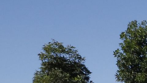 Los jugadores de lotería buscan locales donde se vendieron boletos ganadores.