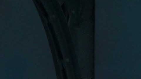 Estación Union Square, Manhattan