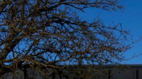 110759338_gettyimages-1198185654