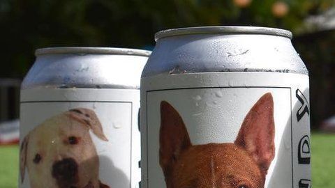 Hazel (tercera lata, de izq. a der.) desapareció de su casa en 2017 en Iowa.