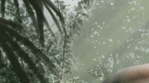 110866466_e39425be-684b-462c-b248-aa52652b5a3e