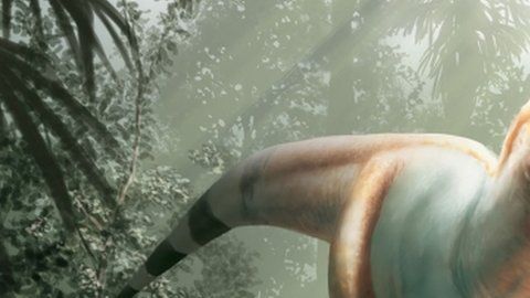 110866466_e39425be-684b-462c-b248-aa52652b5a3e