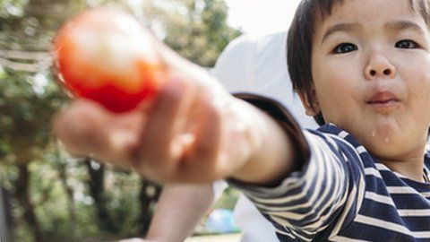 El estudio investigó el comportamiento de los bebés durante la hora de la comida.