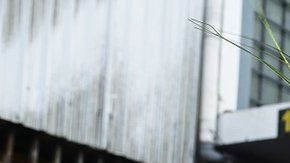 Una participante lleva un tocado decorado con la frase "amor y resistencia".