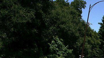 El ingreso promedio de un hogar en Atherton es de más de $525,000 al año.