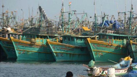 Unos 150,000 pescadores viven cerca de la costa de la India en el golfo de Mannar.