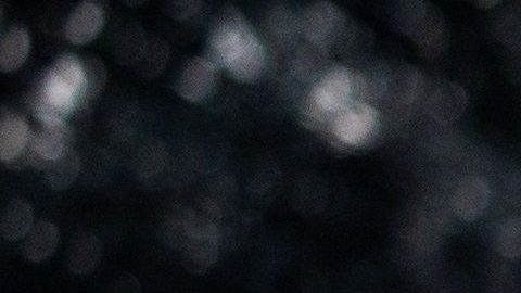 El presidente hizo caso omiso a senadores de su partido.