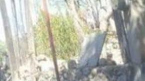 18 detenidos CJNG
