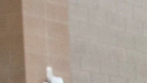 Los asistentes al caucus de Nevada se registran antes de ir a su ubicación asignada para emitir sus votos.