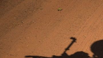 El verano pasado arrestaron por tráfico humano a 23 marines de una base de San Diego.