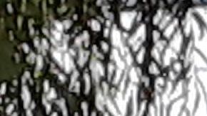 Vecinos e indigentes  conviven en parques del UWS