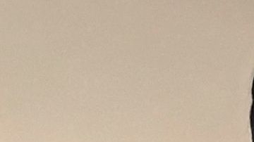 También tiene talento para la literatura infantil