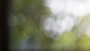 Sitios para saber más sobre tu signo.