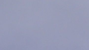 Trump y Pence participan en el informe sobre el coronavirus en EEUU.