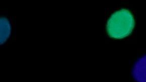 El momento de JLo que irritó a conservadores.