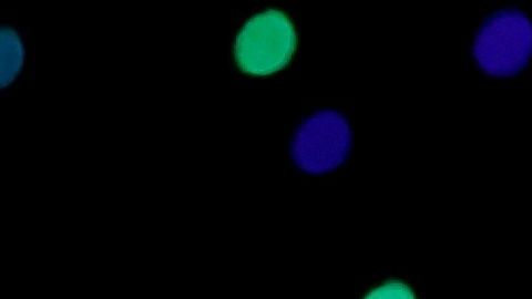 El momento de JLo que irritó a conservadores.