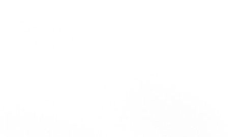 La rusa ganó 5 títulos de Grand Slam, una medalla olímpica y llegó a ser la número 1 del mundo.