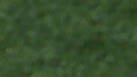 El defensor merengue contrató a dos tatuadores para que lo atendieran en su casa.