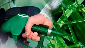 Cada vez más compañías apuestan por el uso de biocombustibles como medida de apoyo al medio ambiente