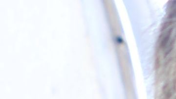 CBP hace un control exahustivo de todos los productos agrícolas que entran a EEUU.