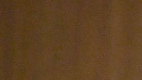 Wolf asegura que no hay otros países tratando de intervenir en la democracia de EEUU.