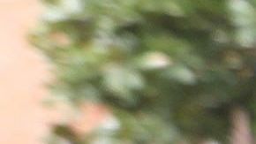 Los integrantes del Ludogorets llegaron a Milán con guantes y máscaras.