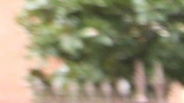 Los integrantes del Ludogorets llegaron a Milán con guantes y máscaras.