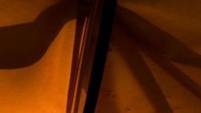 Bosque en Europa para acampar / Créditos: Scott Goodwill vía Unsplash