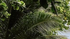 Hoteles exóticos en el mundo / Créditos: Fotógrafo Chelsea Gates vía Unsplash