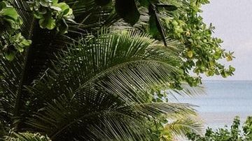 Hoteles exóticos en el mundo / Créditos: Fotógrafo Chelsea Gates vía Unsplash