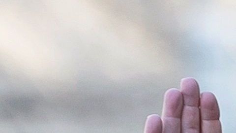 Stone está acusado de obstruir al Congreso durante la investigación sobre la injerencia rusa.