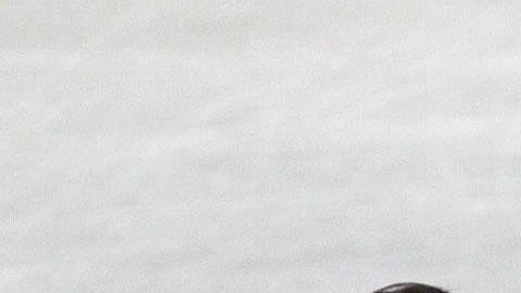 Sarah Abitbol y Stephane Bernadis durante una competencia europea de patinaje artístico en el 2002.