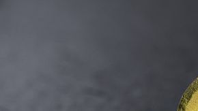 La espirulina es un poderoso antioxidante con grandes propiedades antiinflamatorias, fortalece al sistema inmunitario.