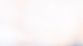 Supremacismo blanco y "otros grupos violentos del país" son amenaza alta en el estado.