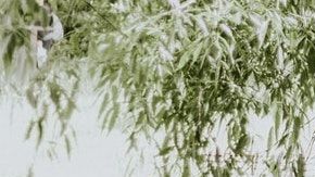 Cosas que pasan a los guías de turistas / Créditos: Fotógrafo Priscilla Du Preez vía Unsplash