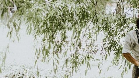 Cosas que pasan a los guías de turistas / Créditos: Fotógrafo Priscilla Du Preez vía Unsplash