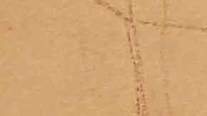 La "Chapodiputada" rindió testimonio contra Guzmán Loera.