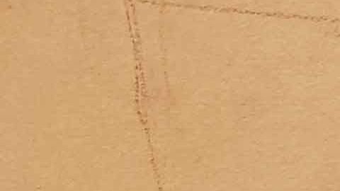 La "Chapodiputada" rindió testimonio contra Guzmán Loera.