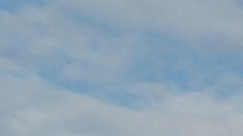 La del "Verano del 2019" fue una movilización histórica en Puerto Rico.